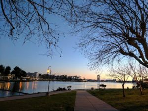 Nighttime View of Lake Merritt